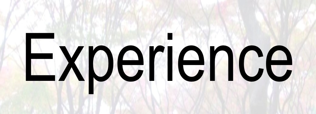 experience