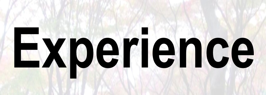 experience