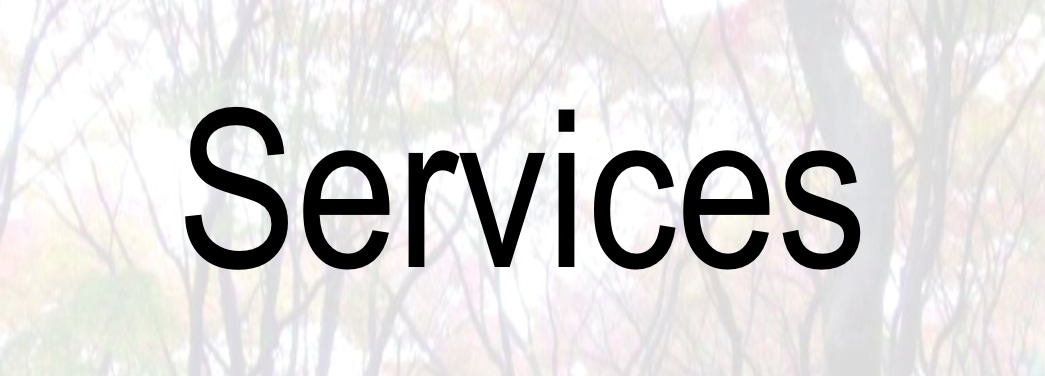 services