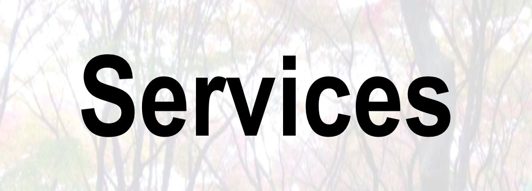 services